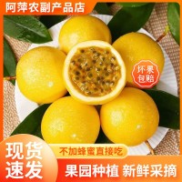 新鮮水果果園種植百香果香甜多汁百香果批發(fā)