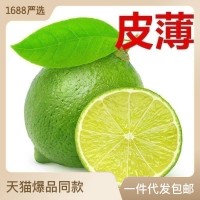 青檸檬當季新鮮水果泰國引種獨立包裝無籽青檸奶茶店直供一 件代發(fā)