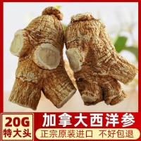加拿大進(jìn)口西洋參特級正宗花旗參野生原枝切片西洋參粒頭西洋參粉
