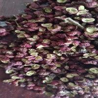 新貨花椒產(chǎn)地直銷紅花椒特麻花椒粒麻花椒大紅袍一件代發(fā)
