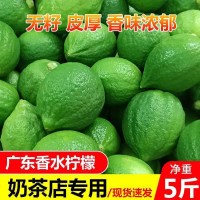 廣東香水檸檬無籽一級果產地直發(fā)新鮮水果奶茶店專用整箱批發(fā)