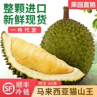 馬來西亞D197貓山王榴蓮正宗液氮榴蓮貓山王水果冰皮月餅支持代發(fā)