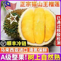 馬來西亞D197貓山王榴蓮 原箱進(jìn)口A果當(dāng)季榴蓮整箱批發(fā)