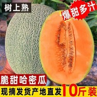 哈密瓜新疆哈密瓜10斤當(dāng)季新鮮水果脆甜網(wǎng)紋季小香瓜整箱5斤包郵