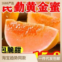 哈密瓜【脆甜】甘肅民勤黃金蜜新鮮應(yīng)季水果紅肉甜瓜香瓜整箱批發(fā)