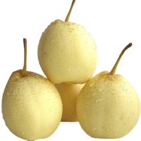 廠家常年供應(yīng)新梨7號 pear 歡迎選購 價格美麗
