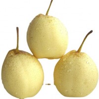 豐水梨pear 皇冠梨 鴨梨 隨時詢價 歡迎大量選購 價格美麗