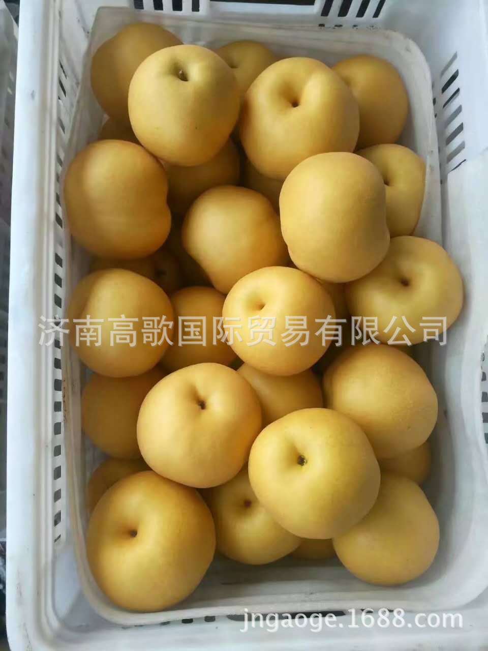 豐水梨出口