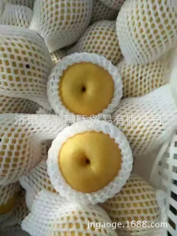 出口豐水梨