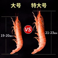 阿根廷紅蝦 大L1紅蝦2kg 焗蝦鮮活大蝦船凍海鮮4斤大紅蝦可刺身商