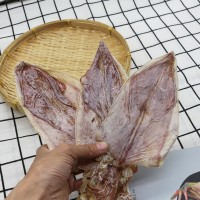 燒烤手撕大魷魚干圓魷芥末北海特產(chǎn)A2淡干海產(chǎn)干貨特產(chǎn)散裝批發(fā)