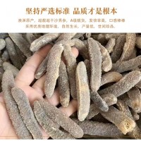 一德路批發(fā)貨源沙禿參Q彈不膩 金沙禿參明禿參 淡干足干海參干貨