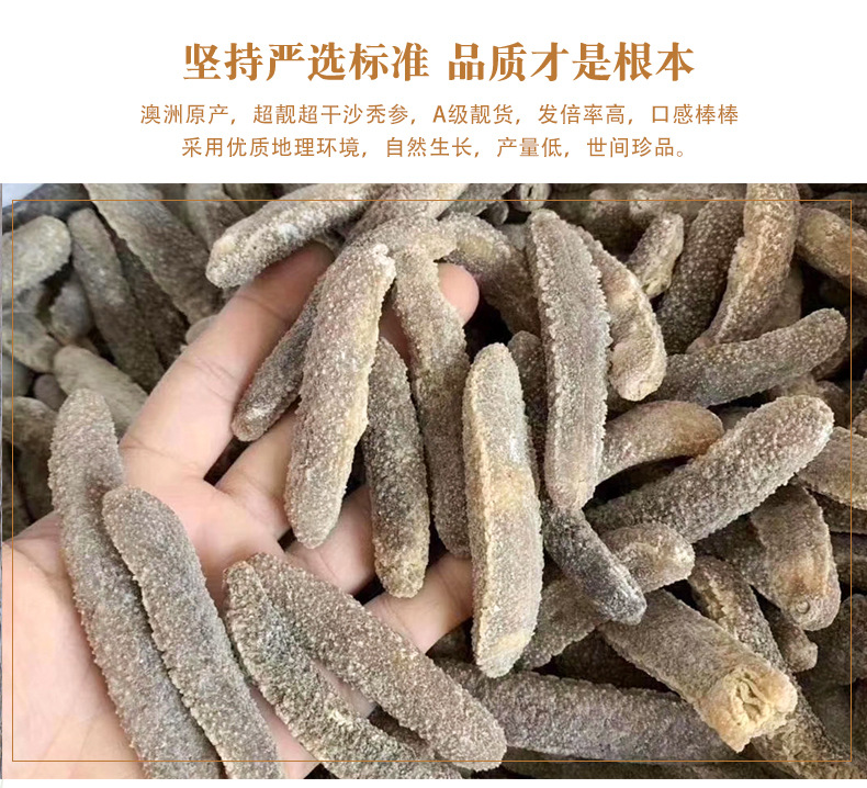 沙禿參詳情_02