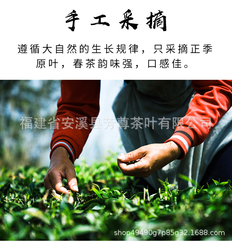 芳尊鐵觀音_05.jpg