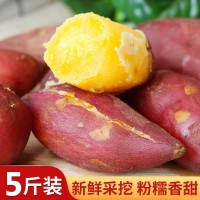 臨安天目山小香薯新鮮現(xiàn)挖農(nóng)家小紅薯板栗番薯山芋迷你地瓜雞蛋薯