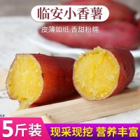 臨安天目山小香薯5斤紅薯新鮮農(nóng)家蜜薯紫薯地瓜板栗山芋番薯