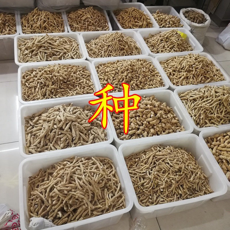 以參相許藥材經(jīng)營(yíng)部_1633354753242