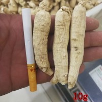 西洋參條東北長白山整枝花旗參個 一手貨源實體店鋪各種規(guī)格齊全