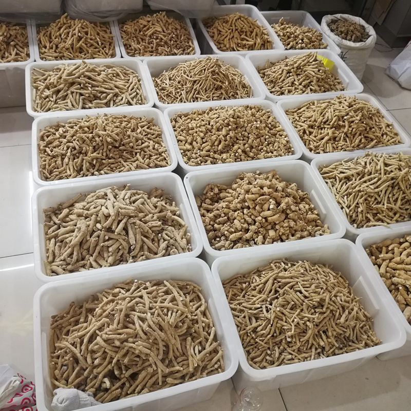 門店西個_副本