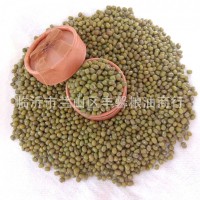 現(xiàn)貨供應(yīng)綠豆 精品雜糧綠豆 超市農(nóng)貿(mào)五谷雜糧綠豆批發(fā)