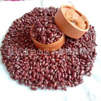 五谷雜糧赤小豆 新品長粒赤小豆非紅小豆 現(xiàn)貨赤小豆批發(fā)