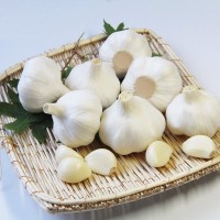 源頭直供精選白皮大蒜 出口