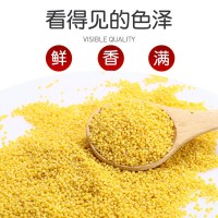 山西沁州黃小米新米50斤新鮮小黃米月子米商用大袋餐飲沁州王小米