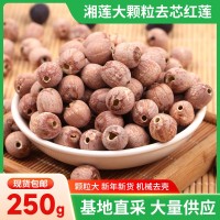 湘蓮大顆粒去芯紅蓮250g湘潭帶皮紅皮蓮子無(wú)芯磨皮去皮紅蓮子干貨