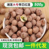 現(xiàn)貨批發(fā)湘蓮大號(hào)帶芯紅蓮500g帶芯蓮子干貨新鮮蓮子支持一 件代發(fā)