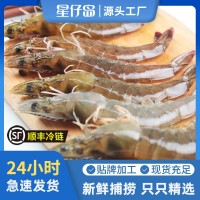 星仔島海水大蝦鮮活海鮮超大海捕對(duì)蝦商用整箱廠家現(xiàn)貨水產(chǎn)批發(fā)
