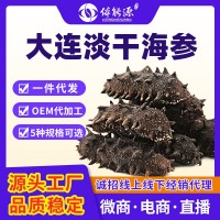 廠家批發(fā)大連純淡干海參干貨海鮮水產(chǎn)遼刺參散裝家用禮盒裝 可代發(fā)