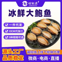 鮮凍深海鮑魚批發(fā)鮑魚商用鮑魚肉商用帶殼活凍鮑魚可用撈汁鮑魚