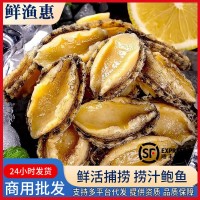 新鮮冷凍大鮑魚肉500g海鮮水產(chǎn)鮮活去殼小鮑魚撈汁佛跳墻食材商用