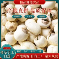 2023新鮮帶芯白蓮子500g 袋裝白蓮子批發(fā)量大從優(yōu)手工白蓮子