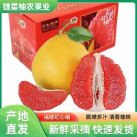 正宗福建平和琯溪紅肉蜜柚 應季新鮮水果紅心柚 應季蜜柚水果批發(fā)