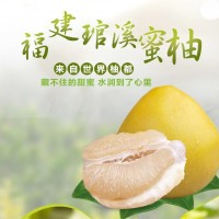 正宗福建平和琯溪老樹白柚白心蜜柚當季新鮮孕婦水果脆甜多汁柚子