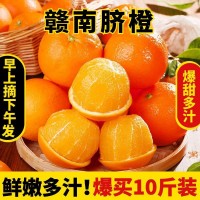 正宗江西贛南臍橙橙子10斤新鮮水果當季整箱贛州產地直發(fā)擠橙