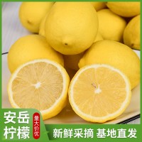 四川安岳檸檬產(chǎn)地直發(fā)黃檸檬皮薄多汁中大果整箱當季新鮮水果批發(fā)
