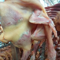 風(fēng)干腌制2斤2兩老母雞億家洪農(nóng)家美食雞肉咸香臘味農(nóng)家雞散養(yǎng)土雞