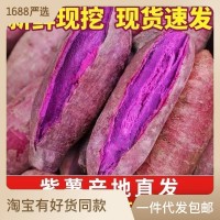紫薯新鮮批發(fā)產(chǎn)地直發(fā)紅薯番薯地瓜蜜薯山芋香薯代發(fā)蔬菜粗糧