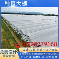 藍(lán)莓連棟溫室大棚 農(nóng)業(yè)種植育苗大棚 包工包料大棚建造廠家供應(yīng)