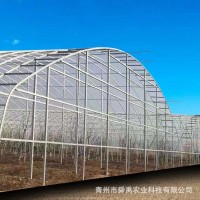 日光溫室大棚批發(fā) 農(nóng)業(yè)溫室大棚陽(yáng)光暖棚 溫室花卉養(yǎng)殖展廳大棚