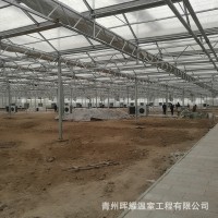 廠家建造連棟溫室大棚 農(nóng)業(yè)育苗養(yǎng)殖大棚 光伏太陽(yáng)能溫室大棚