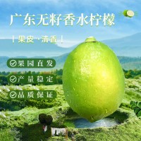 整箱廣東香水檸檬農(nóng)產(chǎn)品現(xiàn)摘現(xiàn)發(fā)檸檬果奶茶店專用水果一件代發(fā)