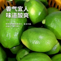 廣東香水檸檬果園現(xiàn)摘現(xiàn)發(fā)奶茶店專用批發(fā)一級果全國一件代發(fā)10斤