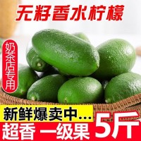 香水檸檬果閃電發(fā)貨海南無籽檸檬一級青檸檬薄皮廣東新鮮水果檸檬