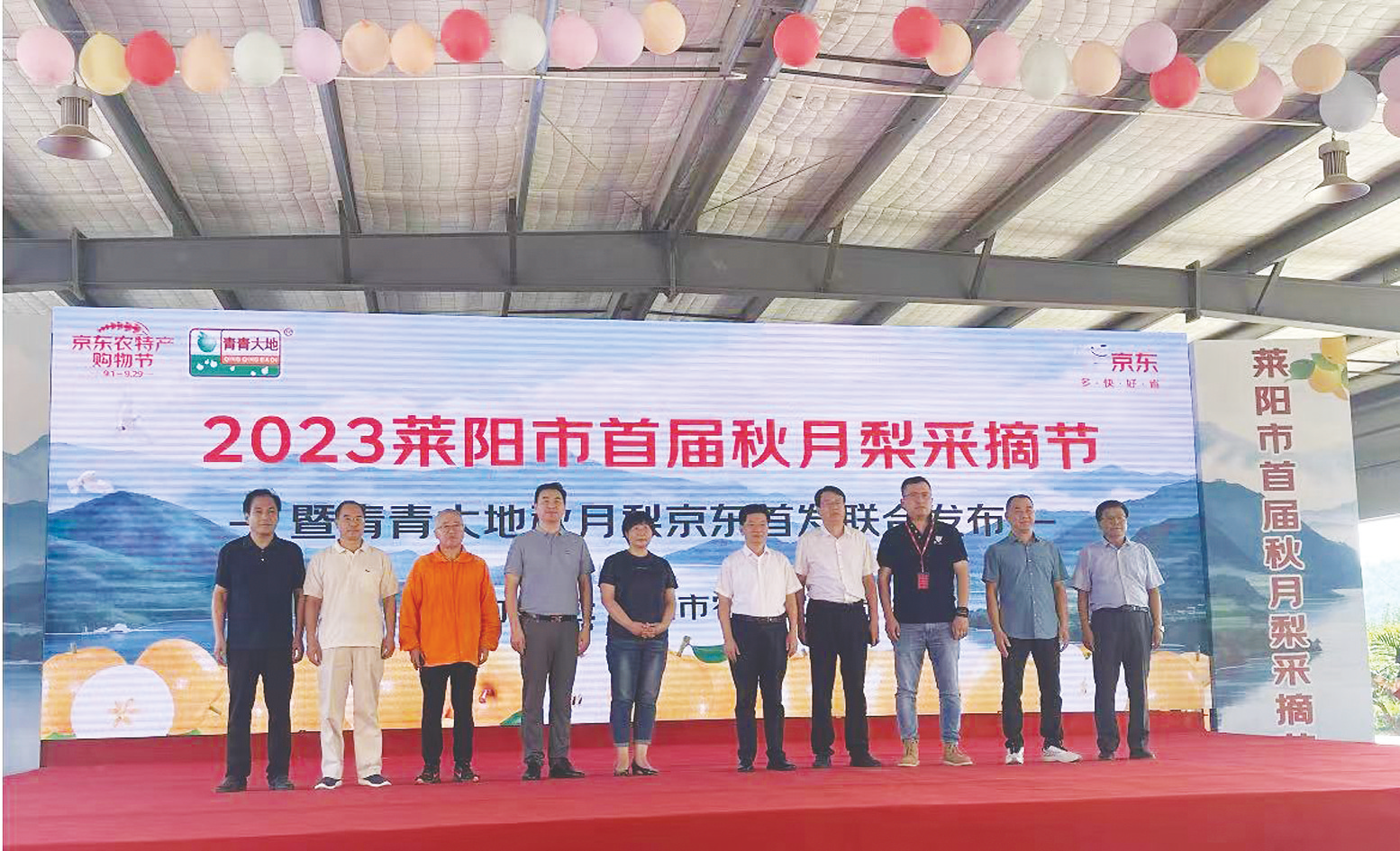     網(wǎng)紅水果秋月梨豐收，山東萊陽(yáng)市舉行首屆秋月梨采摘節(jié)