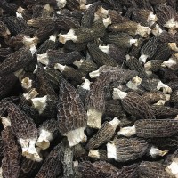 羊肚菌干貨500g 5公分以上營(yíng)養(yǎng)高大量批發(fā)廠地直發(fā)