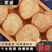 福建猴頭菇500g食用菌肉質(zhì)細(xì)煲湯食材菇干貨源頭廠家支持一件代發(fā)