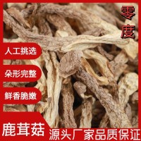 2023福建古田鹿茸菇500g干貨新鮮脆脆菇食用煲湯食材廠家直銷批發(fā)